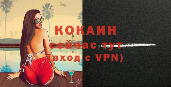 ECSTASY Пересвет