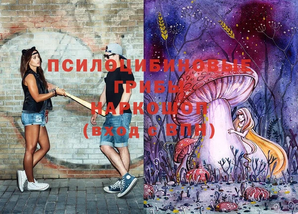 a pvp Абинск