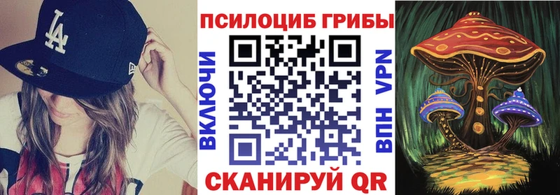 наркота  Тавда  Псилоцибиновые грибы ЛСД 
