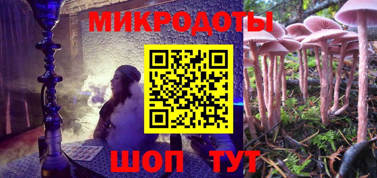 Псилоцибиновые грибы Psilocybine cubensis Тавда